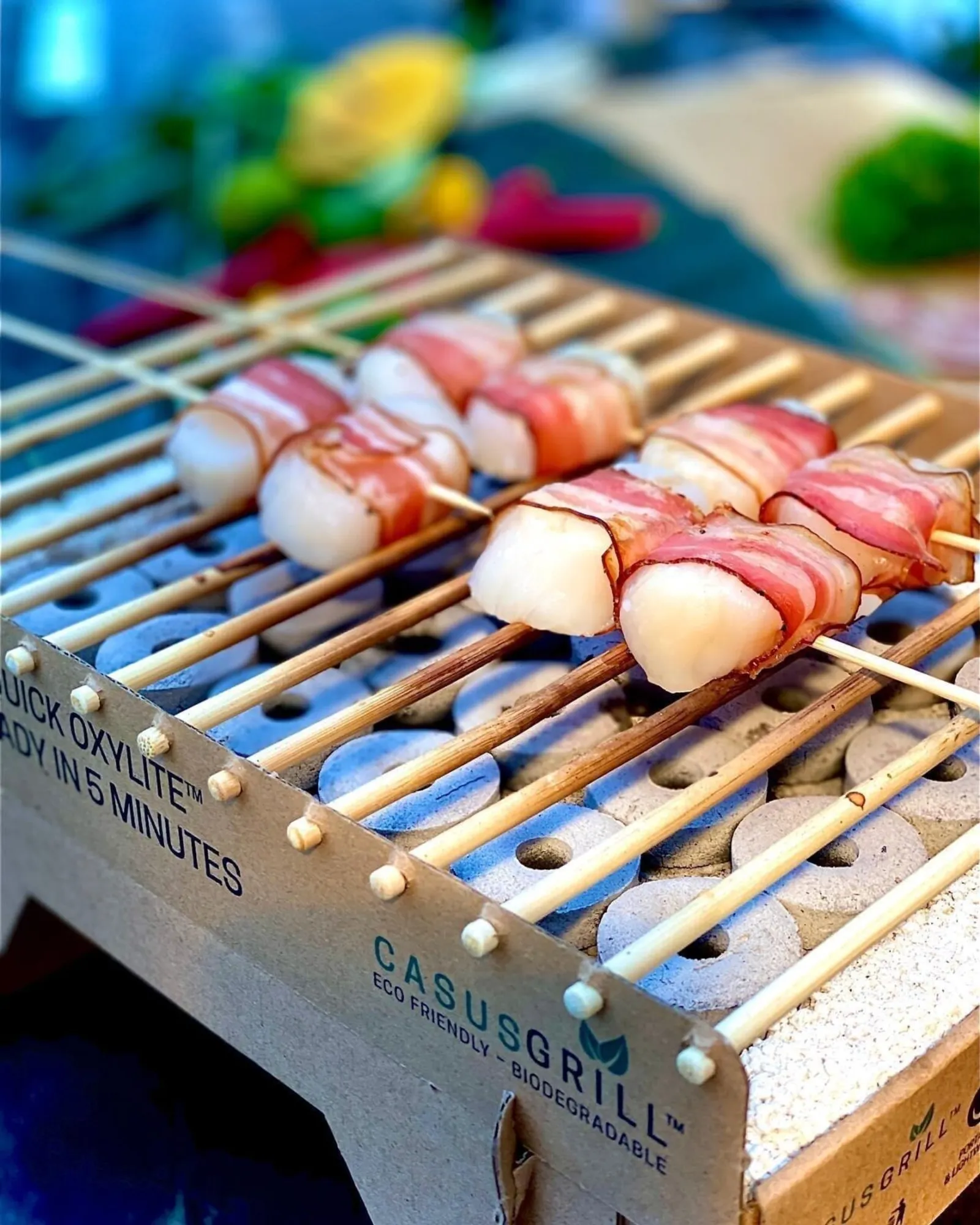 Ühekordne grill CasusGrill Grillnurk